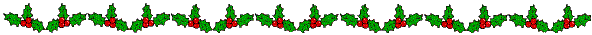 Holly_Banner.gif (4578 bytes)