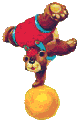 bear balancing on a ball
