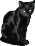 black_cat.gif (8778 bytes)