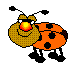 bug2.gif (2352 bytes)