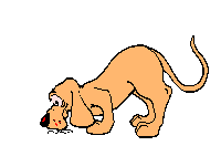 catdog2.gif (6106 bytes)