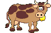 cow animation