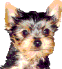 dog_46.gif (4224 bytes)