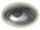eye12.gif (6118 bytes)