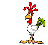 chicken animation