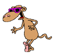 dancing monkey with sunglasses