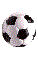 soccer1.gif (3736 bytes)