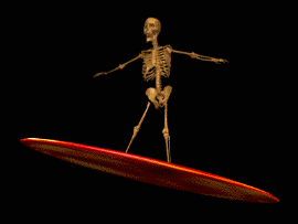 surfani2.gif (29804 bytes)