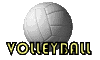 volley1.gif (7251 bytes)