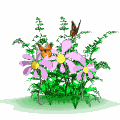 flwrbutterfly.gif (15811 bytes)