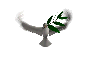 flying bird.gif (79516 bytes)
