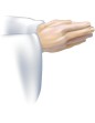 praying hands