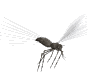 mosquito.gif (12230 bytes)
