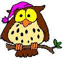 owl