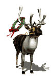 reindeer12.gif (18941 bytes)