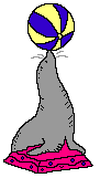 seal4