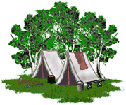 tent in woods